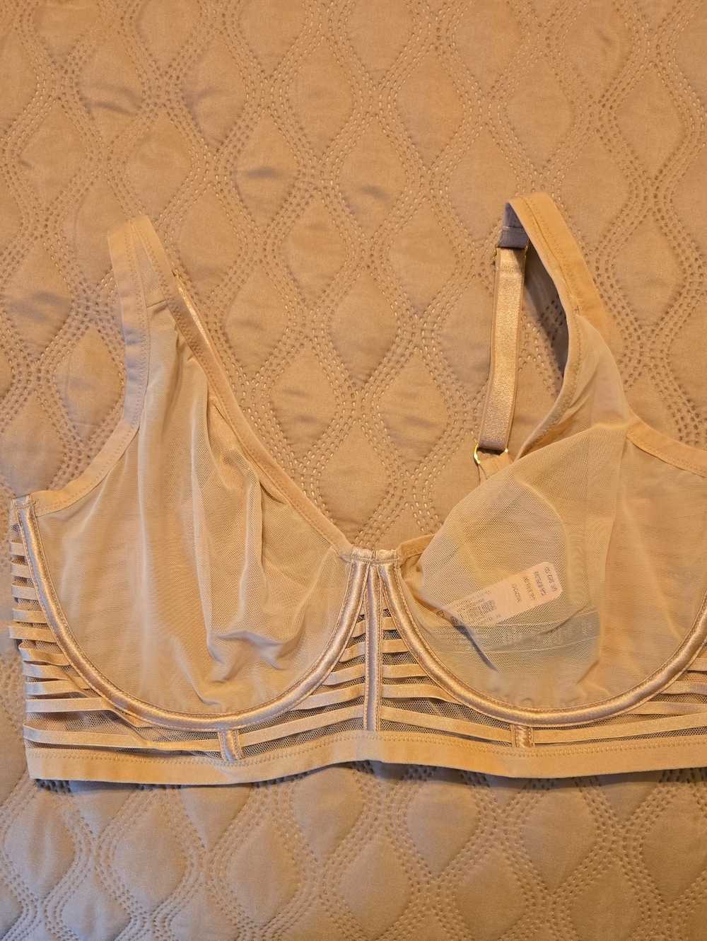 Victoria's Secret Sheer Underwire Bra in Nude